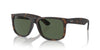 Ray-Ban Justin RB4165 Havana/Dark Green Polarised #colour_havana-dark-green-polarised