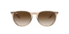 Ray-Ban Erika RB4171 Transparent Brown/Brown Gradient #colour_transparent-brown-brown-gradient
