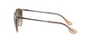 Ray-Ban Erika RB4171 Transparent Brown/Brown Gradient #colour_transparent-brown-brown-gradient