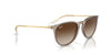 Ray-Ban Erika RB4171 Transparent Light Brown/Brown #colour_transparent-light-brown-brown
