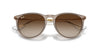 Ray-Ban Erika RB4171 Transparent Light Brown/Brown #colour_transparent-light-brown-brown