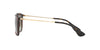 Ray-Ban Chris RB4187 Brown/Brown #colour_brown-brown
