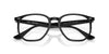 Ray-Ban RB4306 Black/Clear/Green #colour_black-clear-green