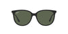 Ray-Ban RB4378 Black/Dark Green #colour_black-dark-green