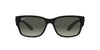 Ray-Ban RB4388 Black/Grey Gradient #colour_black-grey-gradient