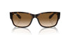 Ray-Ban RB4388 Havana/Clear-Brown #colour_havana-clear-brown