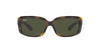 Ray-Ban RB4389 Havana/Green #colour_havana-green