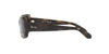 Ray-Ban RB4389 Havana/Green #colour_havana-green