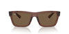 Ray-Ban Warren RB4396 Transparent Brown/Dark Brown #colour_transparent-brown-dark-brown