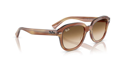 Ray-Ban Erik RB4398 Striped Brown/Clear Brown Gradient #colour_striped-brown-clear-brown-gradient