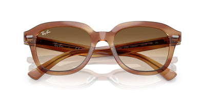 Ray-Ban Erik RB4398 Striped Brown/Clear Brown Gradient #colour_striped-brown-clear-brown-gradient