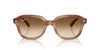 Ray-Ban Erik RB4398 Striped Brown/Clear Brown Gradient #colour_striped-brown-clear-brown-gradient