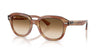 Ray-Ban Erik RB4398 Striped Brown/Clear Brown Gradient #colour_striped-brown-clear-brown-gradient