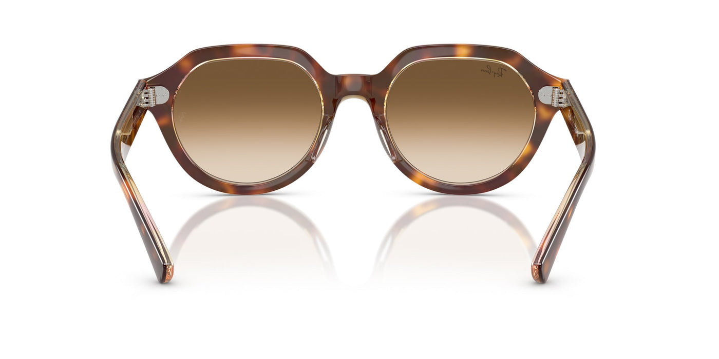 Ray-Ban Gina RB4399 Light Havana On Multicolour/Clear Brown Gradient #colour_light-havana-on-multicolour-clear-brown-gradient