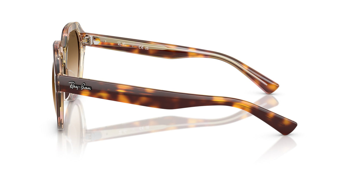 Ray-Ban Gina RB4399 Light Havana On Multicolour/Clear Brown Gradient #colour_light-havana-on-multicolour-clear-brown-gradient