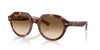 Ray-Ban Gina RB4399 Light Havana On Multicolour/Clear Brown Gradient #colour_light-havana-on-multicolour-clear-brown-gradient