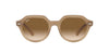 Ray-Ban Gina RB4399 Tortoiseledove/Clear Brown Gradient #colour_tortoiseledove-clear-brown-gradient