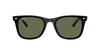 Ray-Ban RB4420 Black/Dark Green Polarised #colour_black-dark-green-polarised