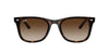 Ray-Ban RB4420 Havana/Brown #colour_havana-brown