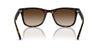 Ray-Ban RB4420 Havana/Brown #colour_havana-brown