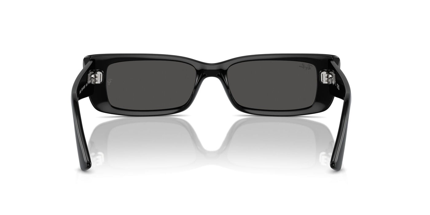 Ray-Ban Teru RB4425 Black/Dark Grey #colour_black-dark-grey