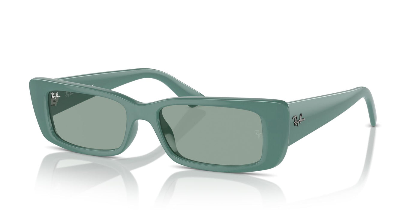 Ray-Ban Teru RB4425 Algae Green/Petrol Green #colour_algae-green-petrol-green