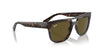 Ray-Ban Phil RB4426 Havana/Dark Brown #colour_havana-dark-brown