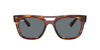 Ray-Ban Phil RB4426 Striped Havana/Dark Blue #colour_striped-havana-dark-blue