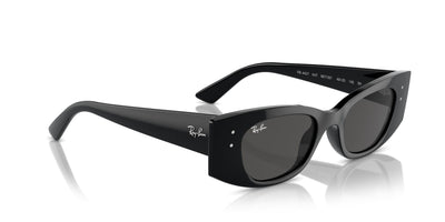 Ray-Ban Kat RB4427 Black/Dark Grey #colour_black-dark-grey