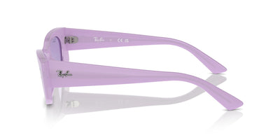 Ray-Ban Kat RB4427 Lilac/Violet #colour_lilac-violet