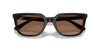 Ray-Ban RB4439D Opal Brown/Dark Brown #colour_opal-brown-dark-brown