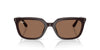 Ray-Ban RB4439D Opal Brown/Dark Brown #colour_opal-brown-dark-brown
