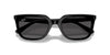 Ray-Ban RB4439D Black/Dark Grey #colour_black-dark-grey