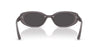 Ray-Ban RB4441D Transparent Dark Grey/Dark Grey #colour_transparent-dark-grey-dark-grey
