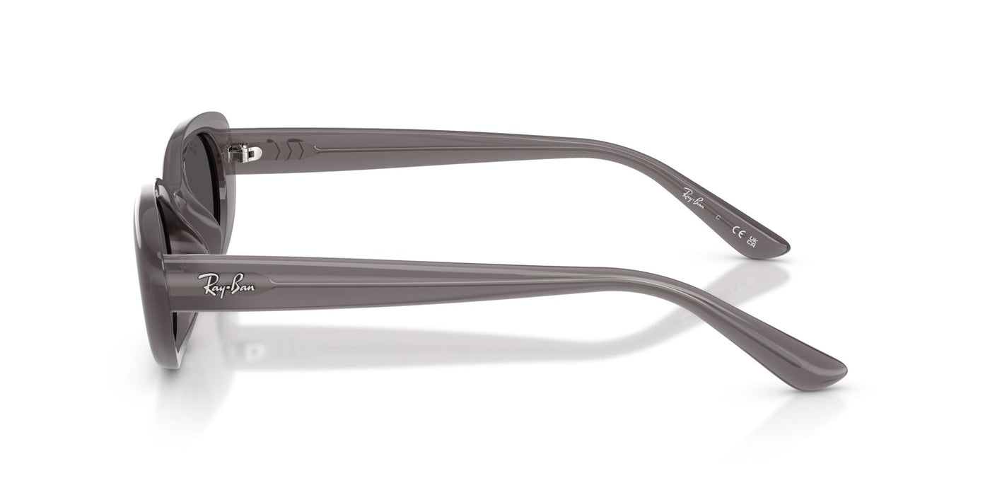 Ray-Ban RB4441D Transparent Dark Grey/Dark Grey #colour_transparent-dark-grey-dark-grey