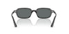Ray-Ban Zuri RB4455 Black/Dark Grey Polarised #colour_black-dark-grey-polarised