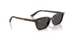 Ray-Ban Zaya RB4456 Havana/Dark Grey #colour_havana-dark-grey