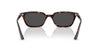 Ray-Ban Zaya RB4456 Havana/Dark Grey #colour_havana-dark-grey