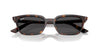 Ray-Ban Zaya RB4456 Havana/Dark Grey #colour_havana-dark-grey
