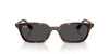 Ray-Ban Zaya RB4456 Havana/Dark Grey #colour_havana-dark-grey
