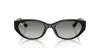 Ray-Ban RB4457D Black/Grey Gradient #colour_black-grey-gradient