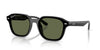 Ray-Ban RB4458D Black/Dark Green Polarised #colour_black-dark-green-polarised