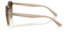 #colour_turtledove-brown-gradient