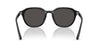 Ray-Ban RB4459D Black/Dark Grey #colour_black-dark-grey