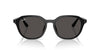 Ray-Ban RB4459D Black/Dark Grey #colour_black-dark-grey