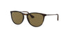 Ray-Ban RJ9060S Rubber Havana/Dark Brown #colour_rubber-havana-dark-brown