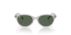 Ray-Ban Kids 0RJ9080S Transparent Grey/Dark Green #colour_transparent-grey-dark-green