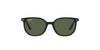 Ray-Ban Junior Elliot RJ9097S Black/Dark Green #colour_black-dark-green