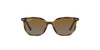 Ray-Ban Junior Elliot RJ9097S Havana/Grey Brown Gradient Polarised #colour_havana-grey-brown-gradient-polarised