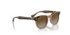 Ray-Ban Junior RJ9098S Havana Transparent/Brown #colour_havana-transparent-brown